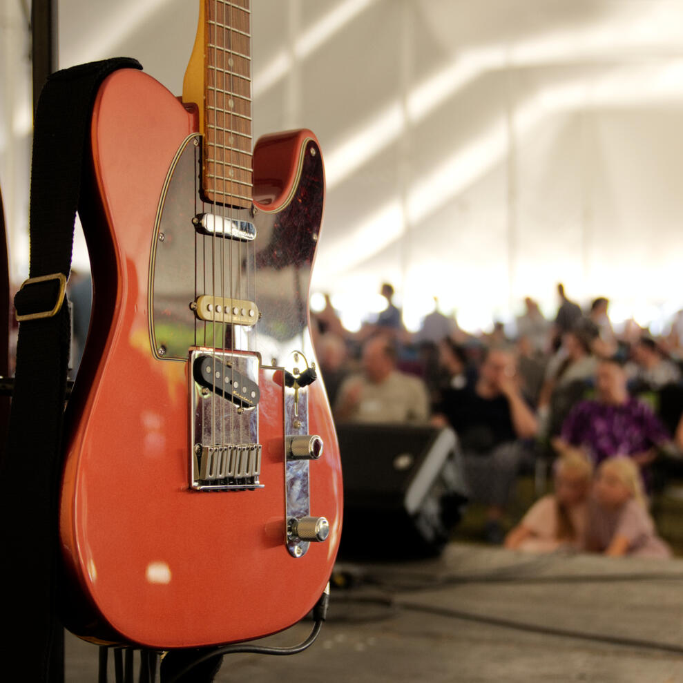 Just a guitar shot from onstage at an event
